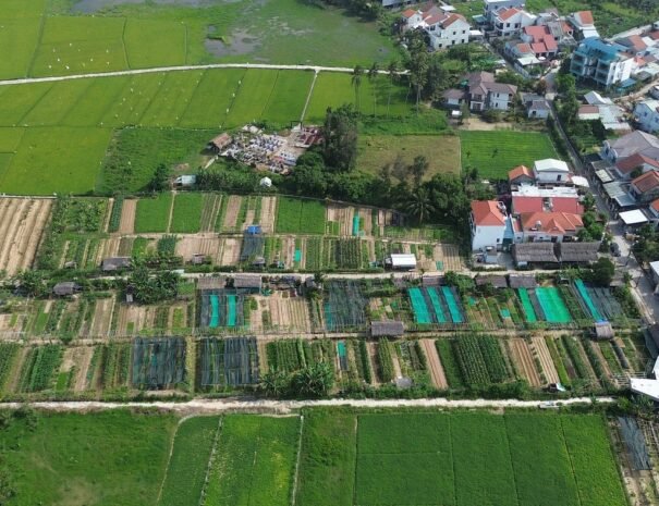 view-everything-from